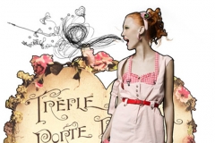 Plaisir d'amour